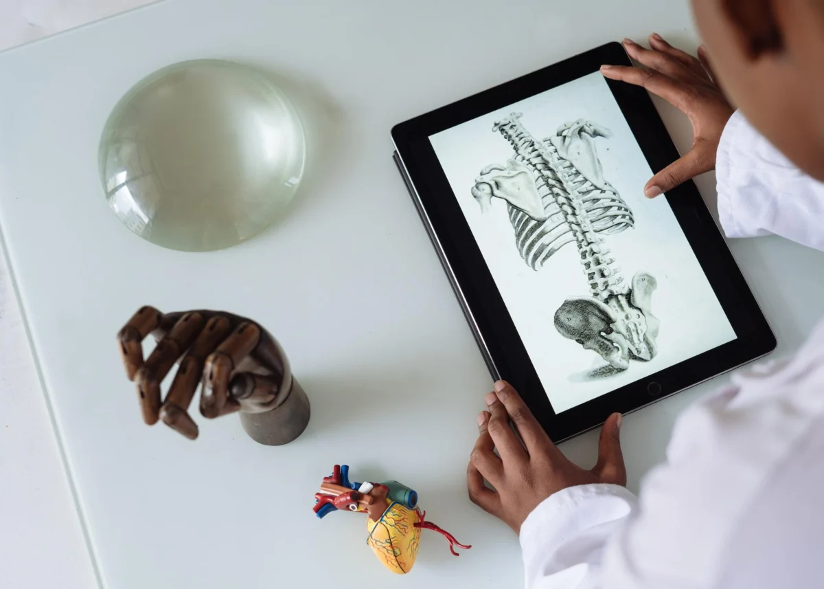 Na zdjęciu widzimy mężczyznę przeglądającego ilustrację anatomiczną szkieletu człowieka na tablecie.